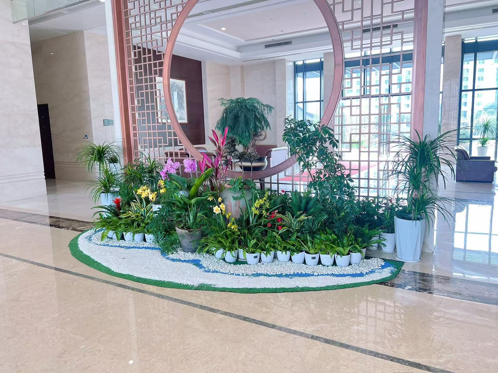 探寻宁波江北盆景出租价格，超划算！